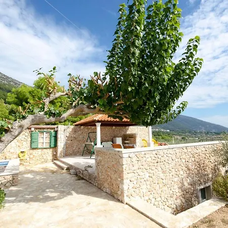 House Petric * Bol
