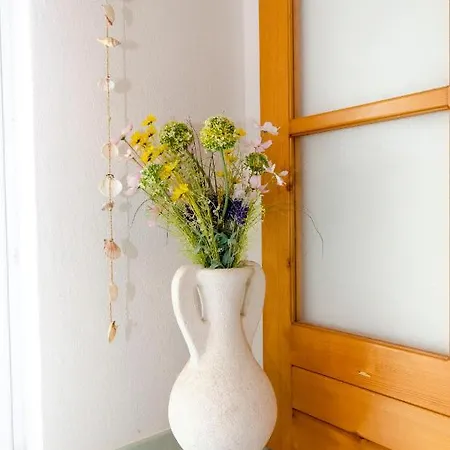 Dom wakacyjny House Petric